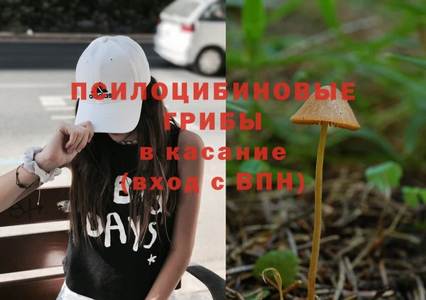 альфа пвп Пролетарск