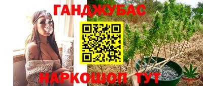 ешки Камышлов
