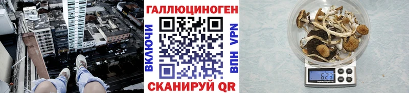 Галлюциногенные грибы Cubensis  блэк спрут зеркало  Свободный 