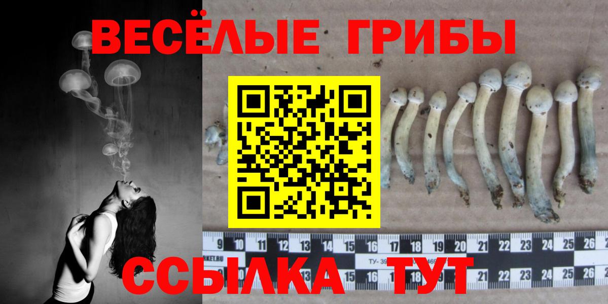 Свободный  Псилоцибиновые грибы прущие грибы  Вход с VPN 
