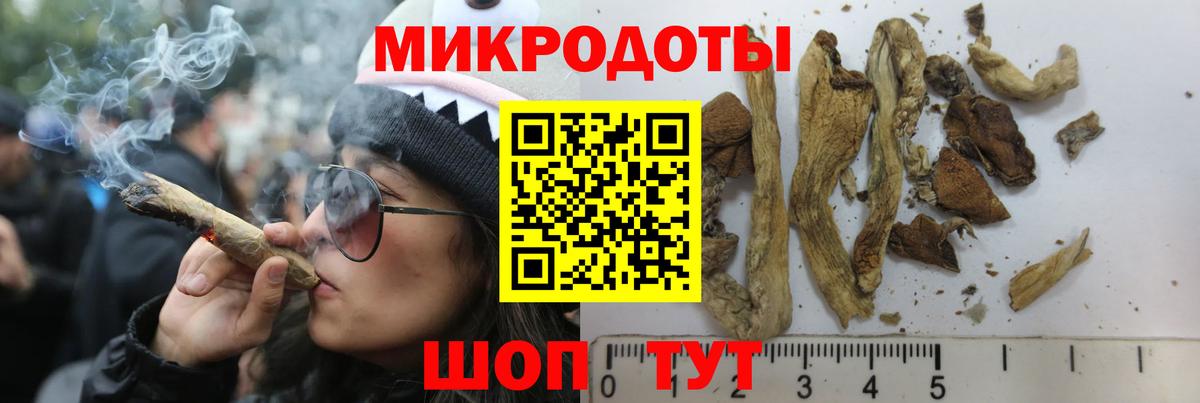 Галлюциногенные грибы GOLDEN TEACHER Свободный